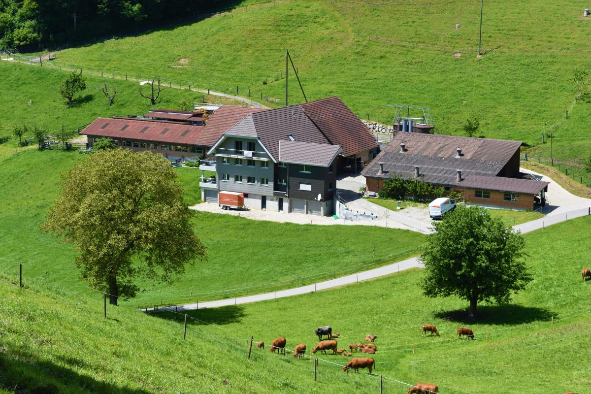 Betrieb Burri, Griffental 1, 6252 Dagmersellen