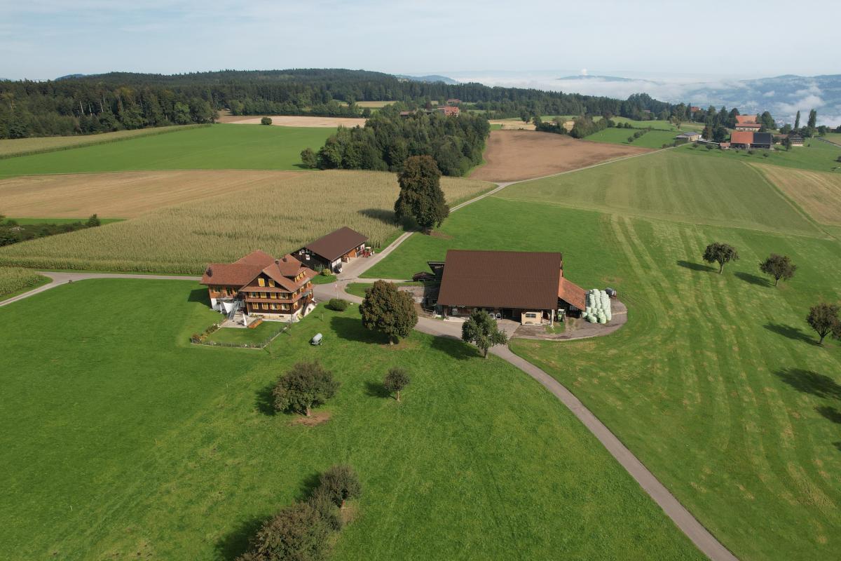 Betrieb Vorder Ludige, Römerswil
