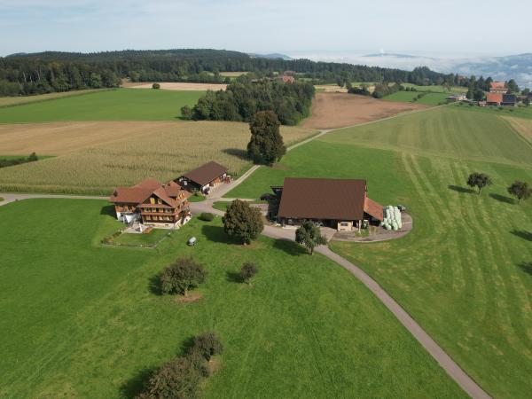 Betrieb Vorder Ludige, Römerswil